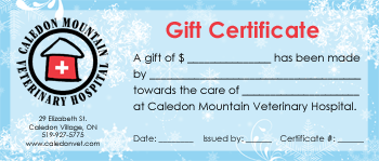 CMVH Gift Certificate