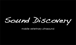 Sound Discovery Business Card Front