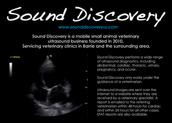 Sound Discovery Post Card Front
